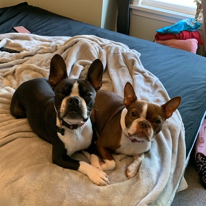 Fundraising Page: Heather Bootes